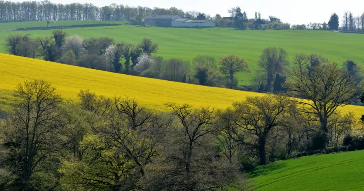 Paysage de Hauts-de-France